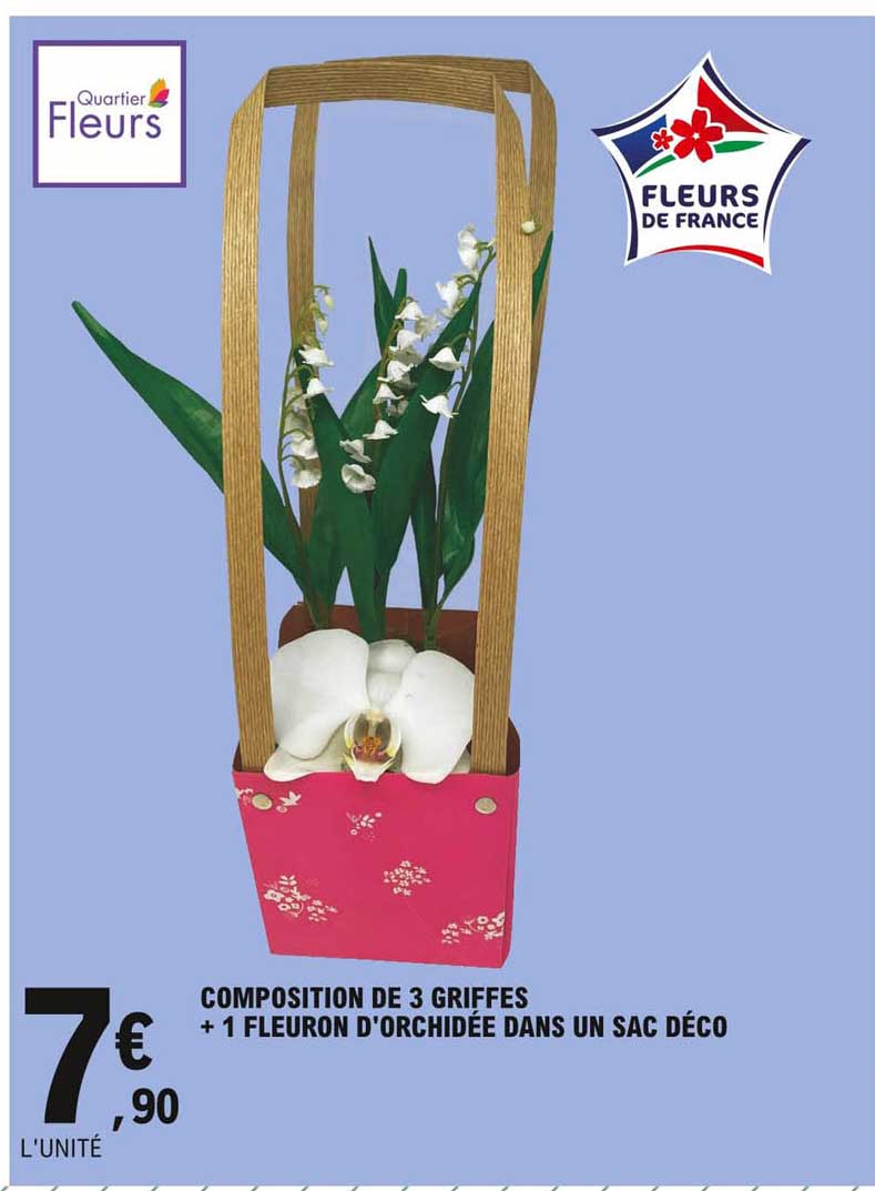 composition de 3 griffes + 1 fleuron d'orchidée dans un sac déco