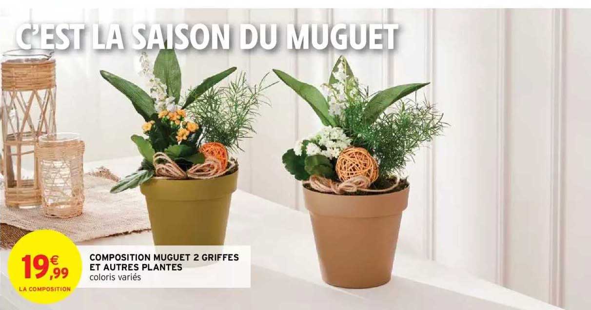 composition muguet 2 griffes et autres plantes