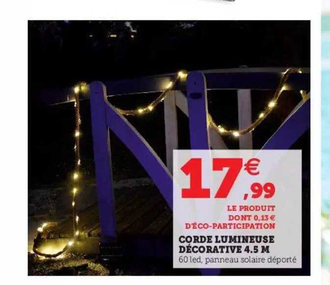 corde lumineuse décorative 4.5 m