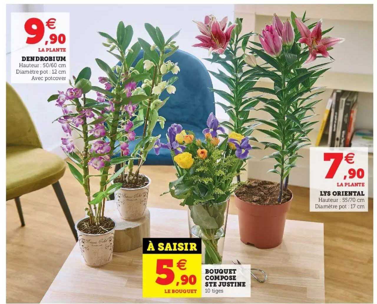 dendrobium, bouquet composé ste justine, lys oriental