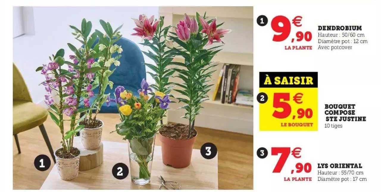 dendrobium, bouquet composé ste justine, lys oriental