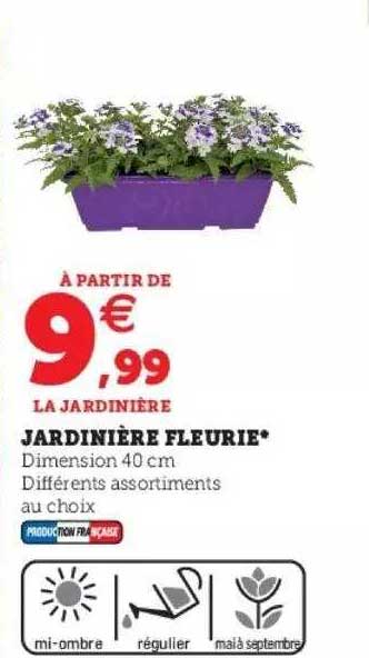 jardinière fleuries