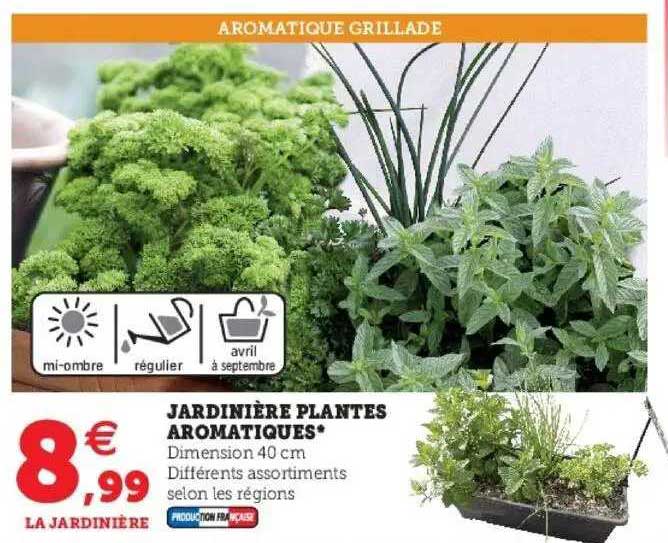 Jardinière Plantes Aromatiques
