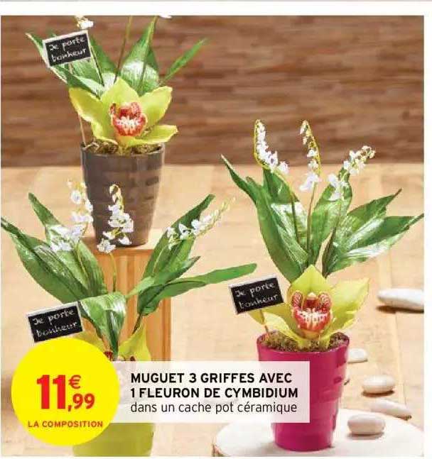 muguet 3 griffes avec 1 fleuron de cymbidium