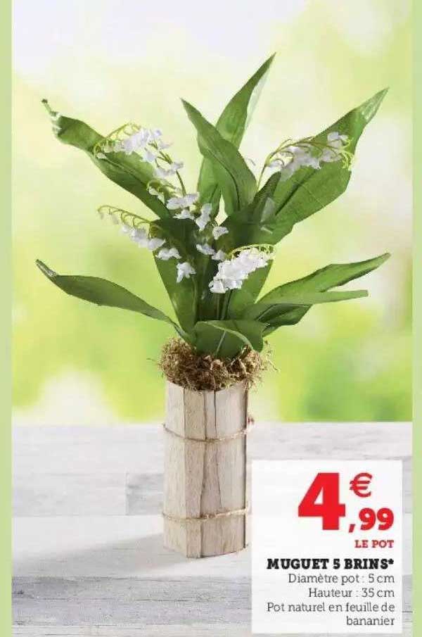 muguet 5 brins