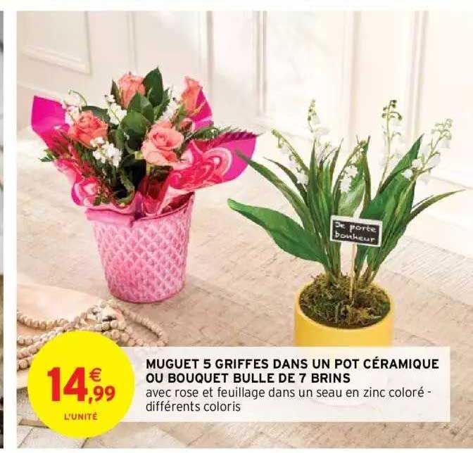 Muguet 5 Griffes Dans Un Pot Céramique Ou Bouquet Bulle De 7 Brins
