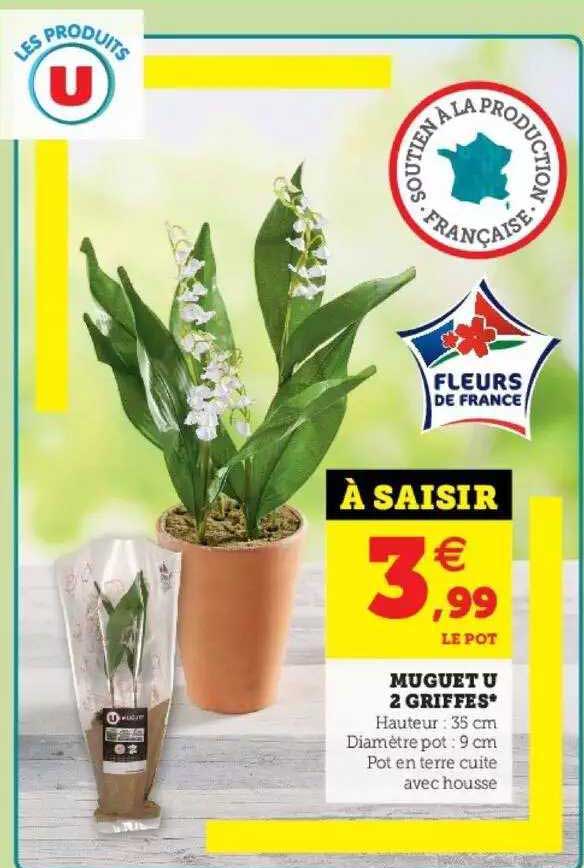 muguet u 2 griffes