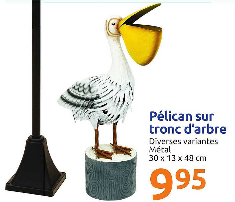 pélican sur tronc d'arbre