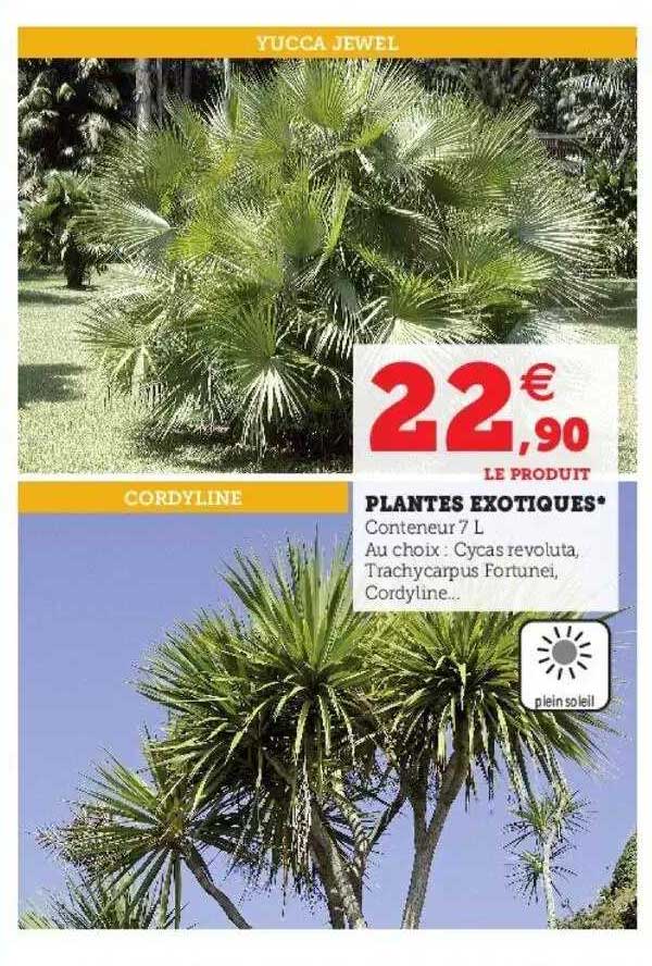 Plantes Exotiques