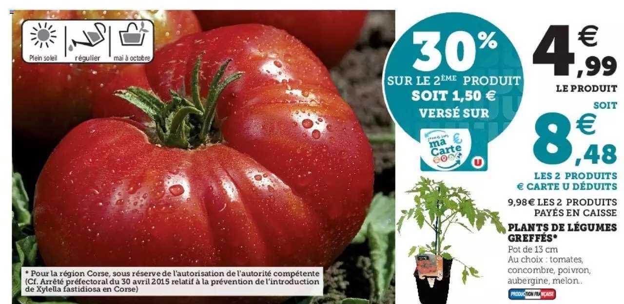 plants de légumes greffés