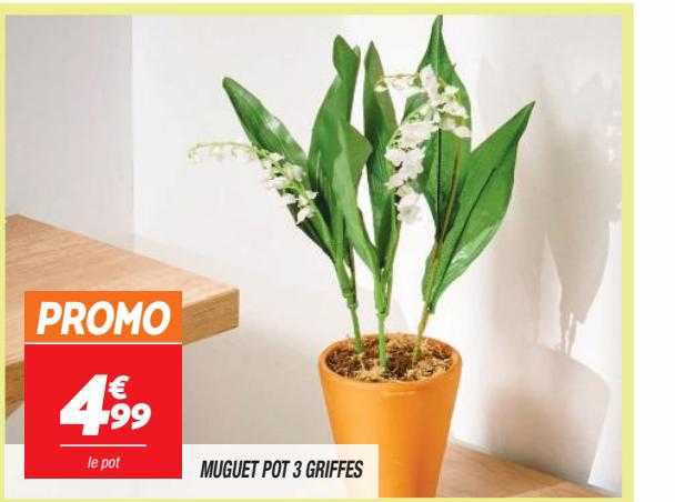 muguet pot 3 griffes