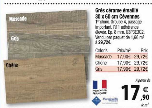 grés cérame émaillé 30 x 60 cm cévennes