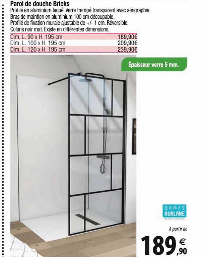 paroi de douche bricks