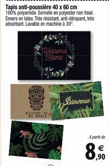 Tapis Anti-poussière 40 X 60 Cm