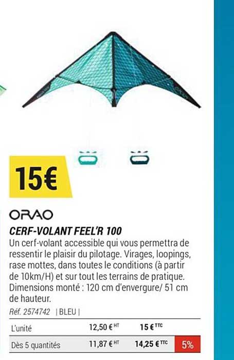 Cerf-Volant Feel'r 100