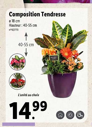 composition tendresse