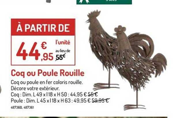 coq ou poule rouille