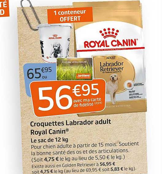 croquttes labrador adult royal canin