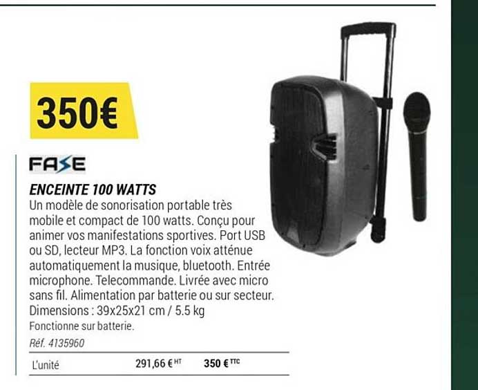 enceinte 100 watts fase