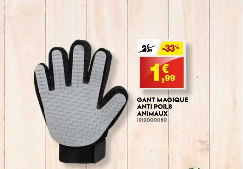 gant magique anti poils animaux