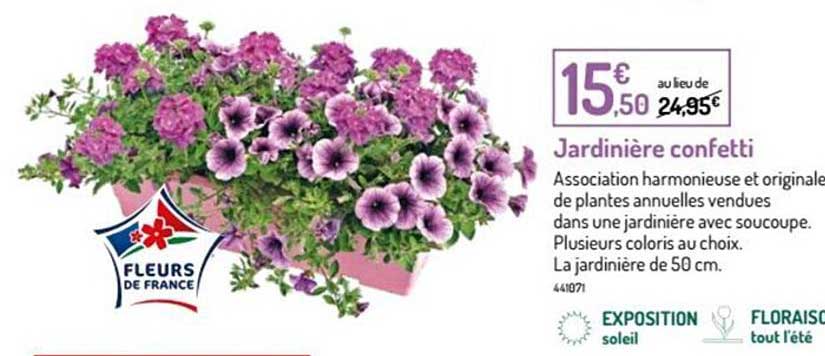 jardiniere confetti