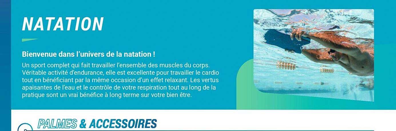 palmes & accessoires