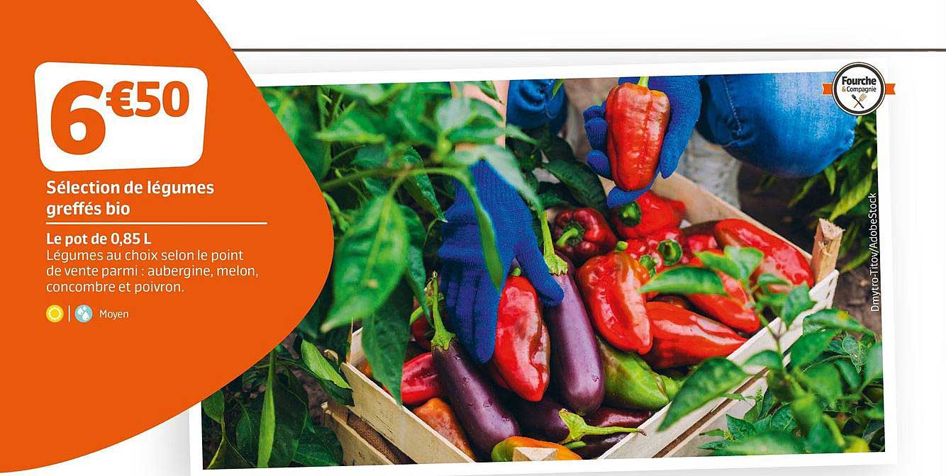 Selection de legumes greffes bio Le pot de 0,85L