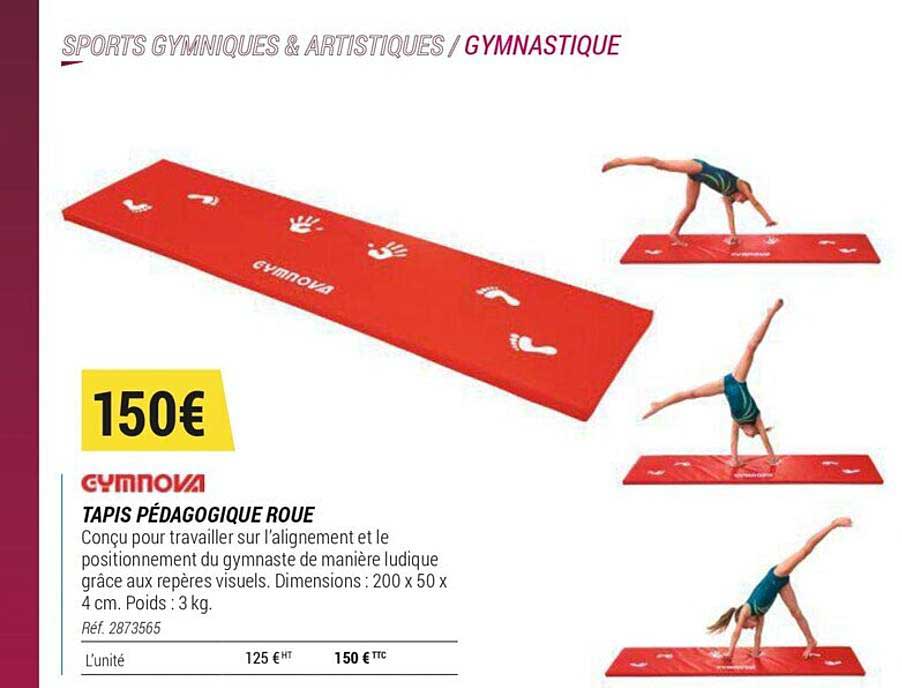 tapis pédagogique roue gymnova