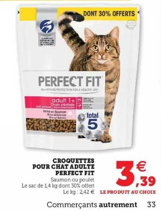 Croquettes Pour Chat Adulte Perfect Fit