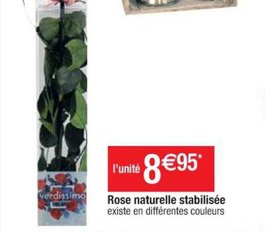rose naturelle stabilisée