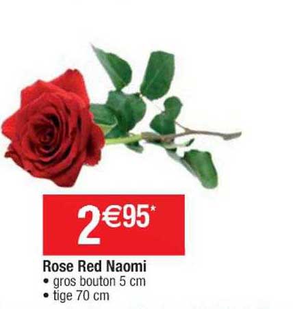 rose red naomi