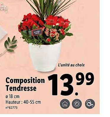 composition tendresse