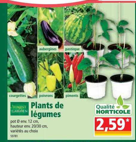 finest garden plants de légumes