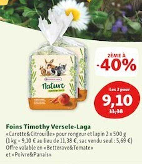 foins timothy versele-laga