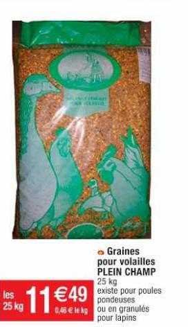 graines pour volailles plein champ