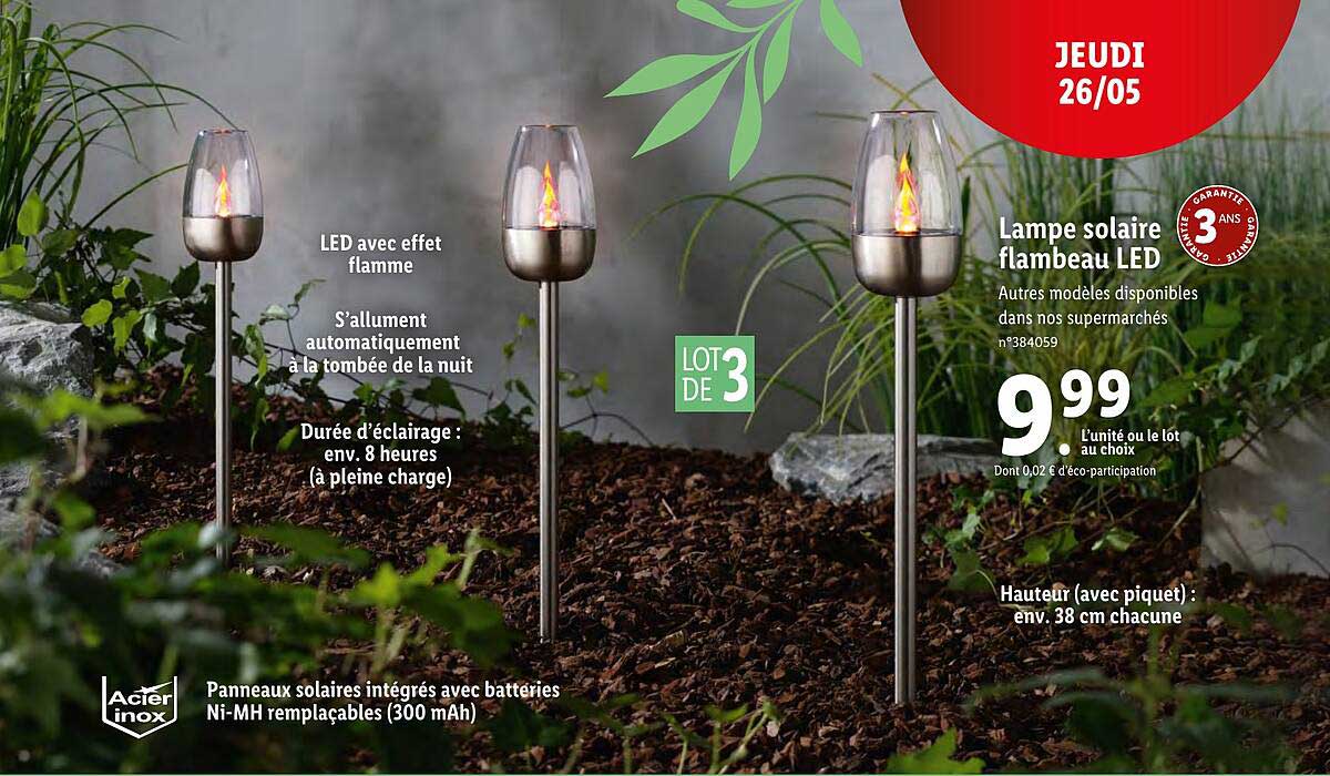 lampe solaire flambeau led