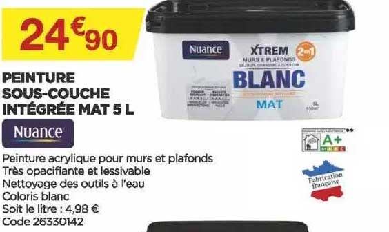 peinture sous-couche intégrée mat nuance