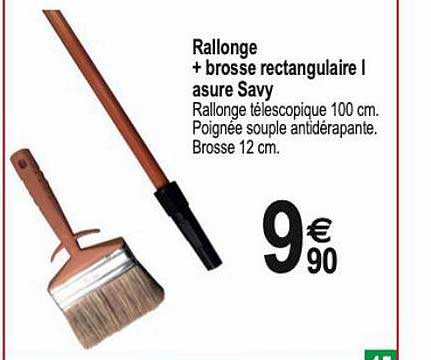 rallonge + brosse rectangulaire I asure savy