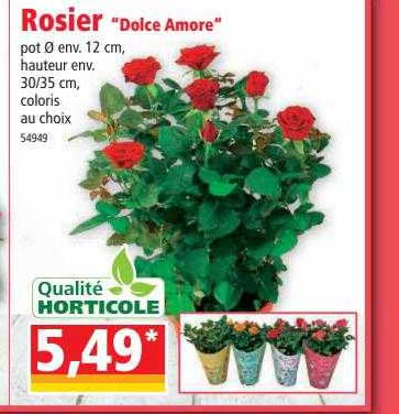 rosier "dolce amore"