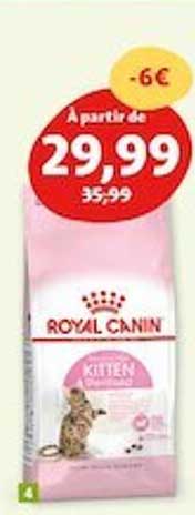 royal canin kitten