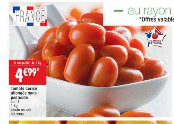 tomate cerise allongée sans pesticide