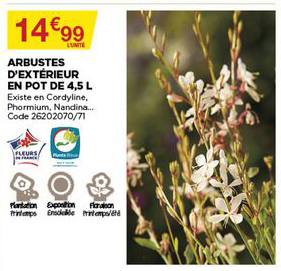 arbustes d'extérieur en pot de 4.5 l