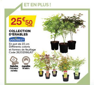 Collection D'érables Jardibest