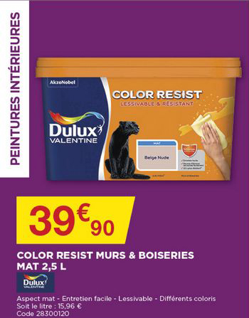 color resist murs & boiseries mat 2.5 l dulux