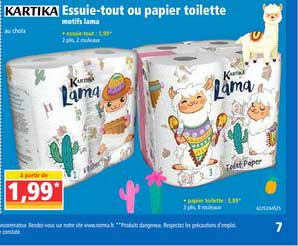 essuie tout ou papier toilette kartika