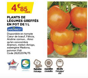 plants de légumes greffés en pot de 1 l jardibest