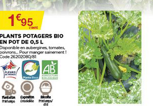 plants potagers bio en pot de 0.5 l