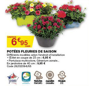 potées fleuries de saison