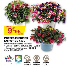 potées fleuries en pot de 4.5 l