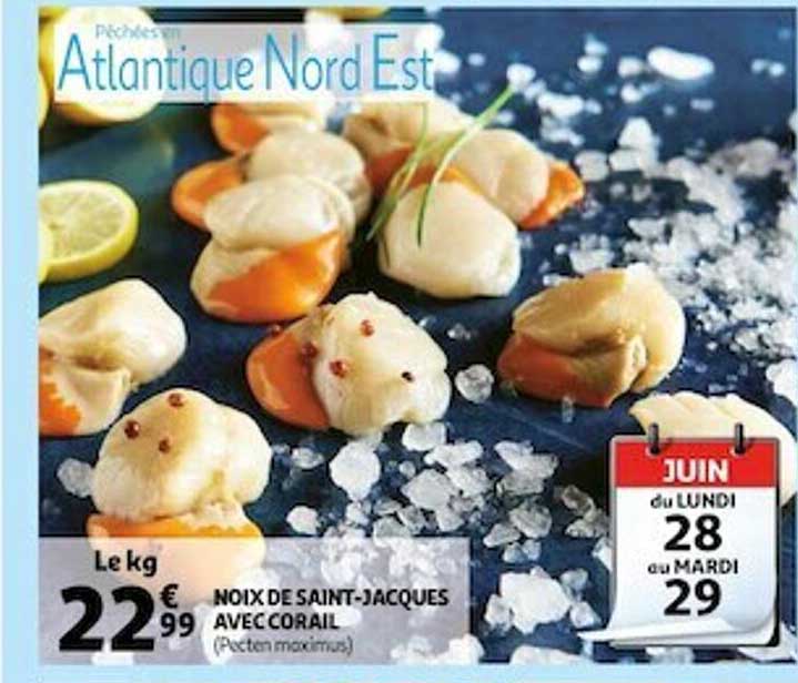 noix de saint-jacques avec corail